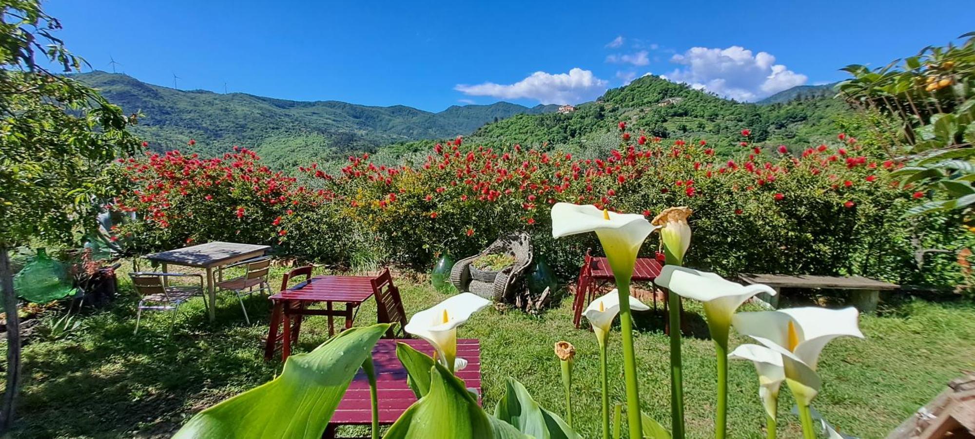 B&B L' Antica Macina Куилиано Экстерьер фото